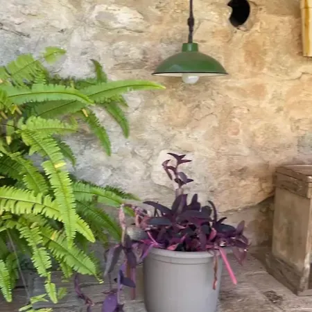 La Casa De La Llum *